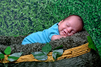 Infant portrait session in basket at Lawanda King Photography studio
