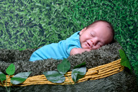 Newborn portrait session with grass background at Lawanda King Photography studio