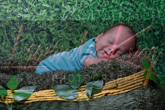 Newborn portrait session with grass background at Lawanda King Photography studio